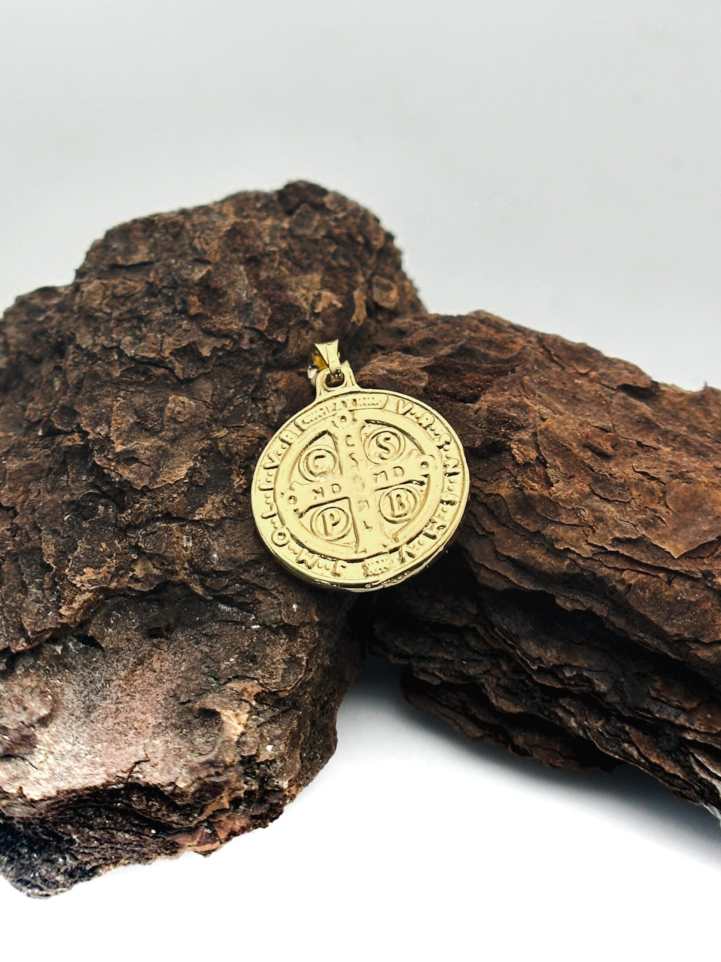 DIJE MEDALLA SAN BENITO GRANDE